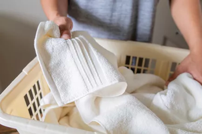 Loại Bỏ Mùi Nấm Mốc