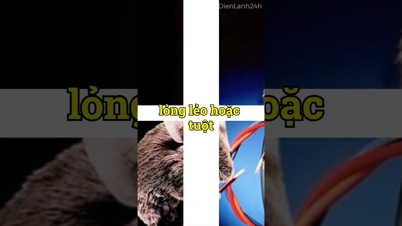 Lưu Ý Khi Lựa Chọn Trung Tâm Sửa Chữa
