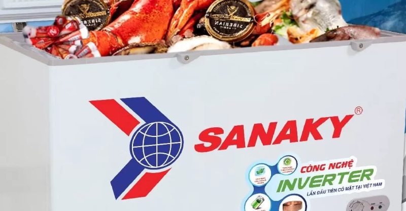 Lưu Ý Sử Dụng Tủ Đông Sanakyan Toàn Tiết Kiệm