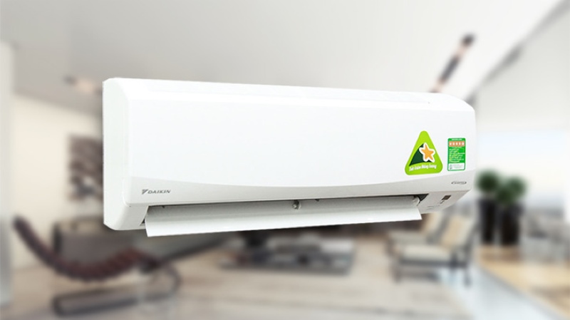 Kiểu Dáng Và Màu Sắc Phong Phú Kiểu Dáng Và Màu Sắc Phong Phú