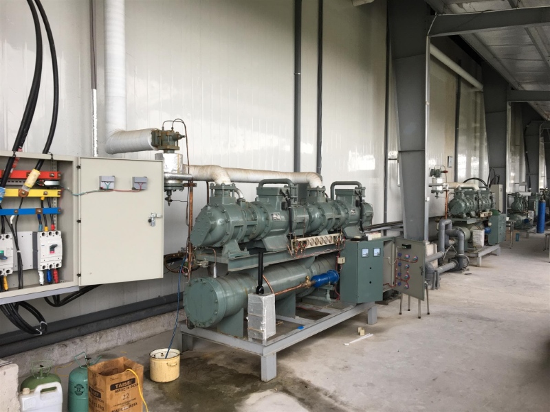 Thodienlanh24H Và Đối Tác Uy Tín Bảo Hành Kho Lạnh Chu Đáo Thodienlanh24H Và Đối Tác Uy Tín Bảo Hành Kho Lạnh Chu Đáo