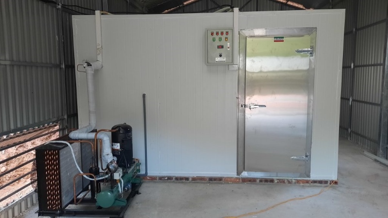Cách Sử Dụng Kho Lạnh An Toàn Và Tiết Kiệm Để Tránh Hư Hỏng Cách Sử Dụng Kho Lạnh An Toàn Và Tiết Kiệm Để Tránh Hư Hỏng