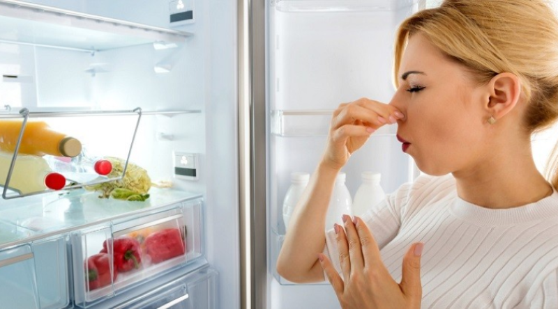 Tủ Lạnh Có Mùi Hôi Tủ Lạnh Có Mùi Hôi
