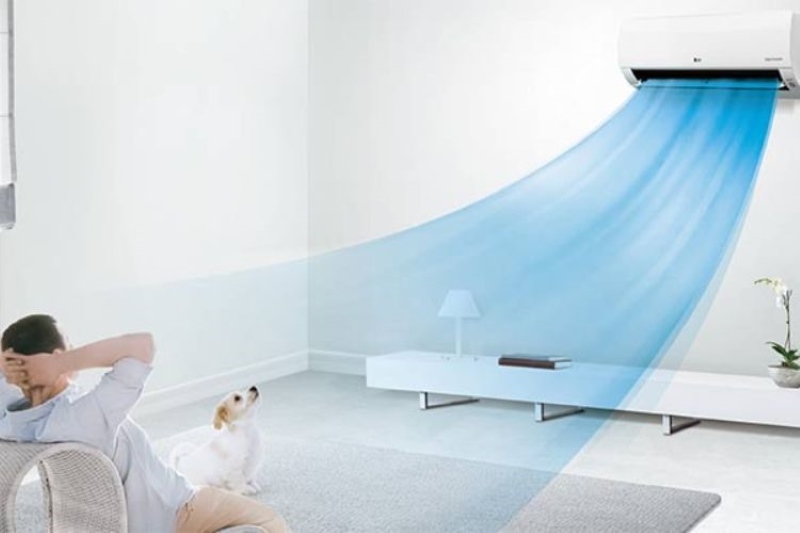 Chó Nằm Điều Hoà Có Sao Không Chó Nằm Điều Hoà Có Sao Không