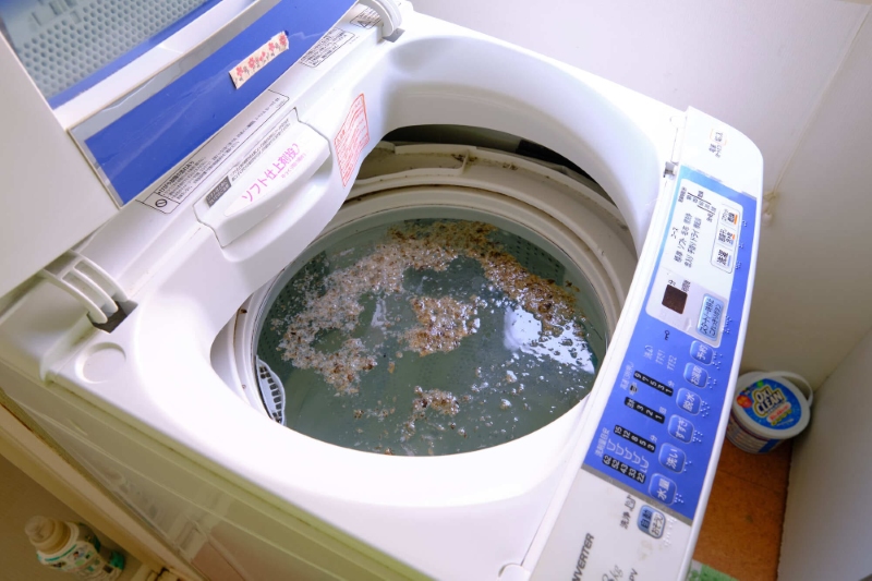 Hướng Dẫn Vệ Sinh Máy Giặt Cơ Bản
