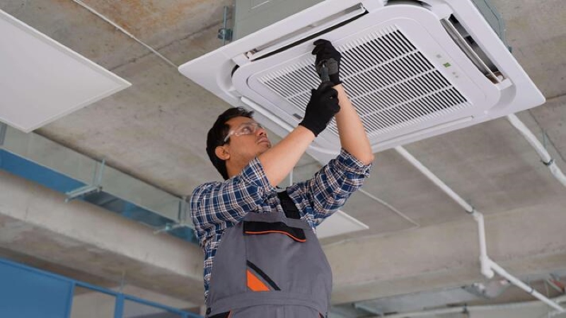 Phản Hồi Của Khách Hàng