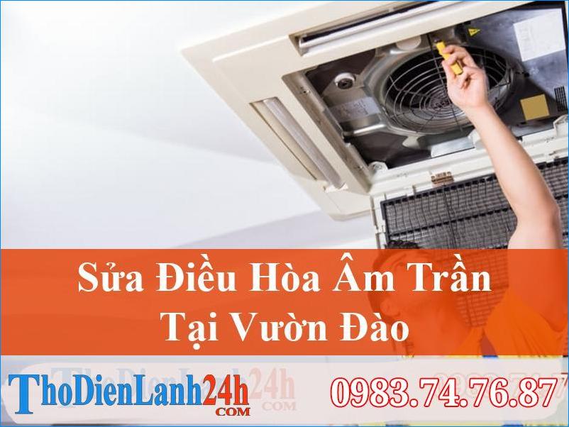 Sua Dieu Hoa Am Tran Vuon Dao Quang Ninh Thodienlanh24H