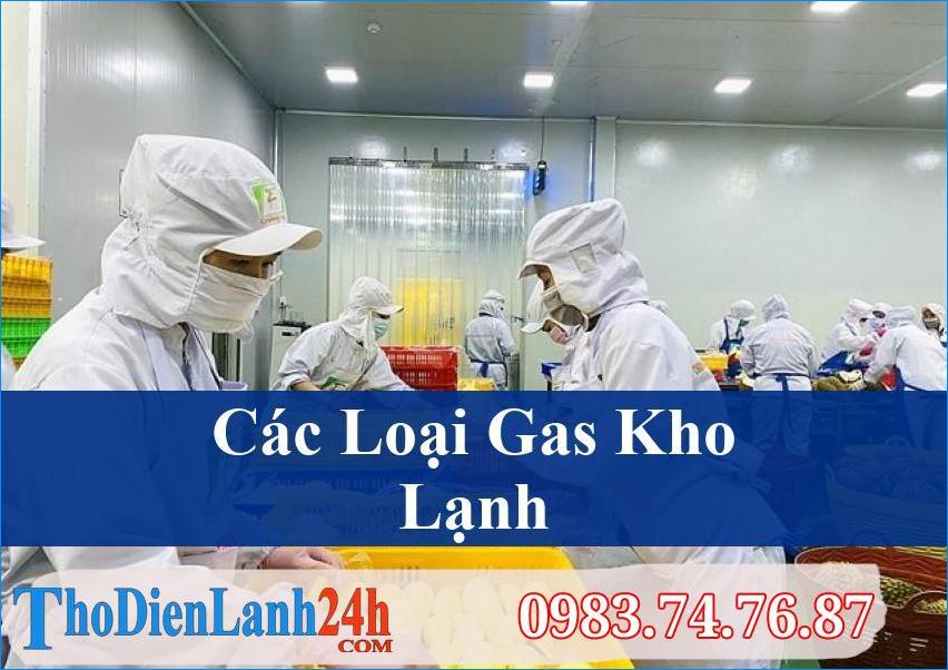 Cac Loai Gas Kho Lanh Mayspa Asia