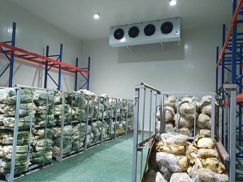 Tecumseh Đa Dạng Giải Pháp Máy Nén Cho Kho Lạnh Nhỏ Và Vừa