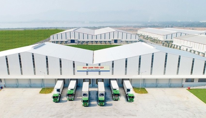 Hậu Quả Nghiêm Trọng Khi Kho Lạnh Ngừng Hoạt Động