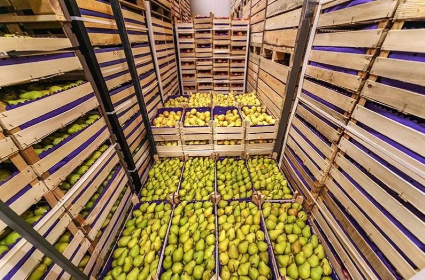 Các Bước Vệ Sinh Kho Lạnh Cơ Bản