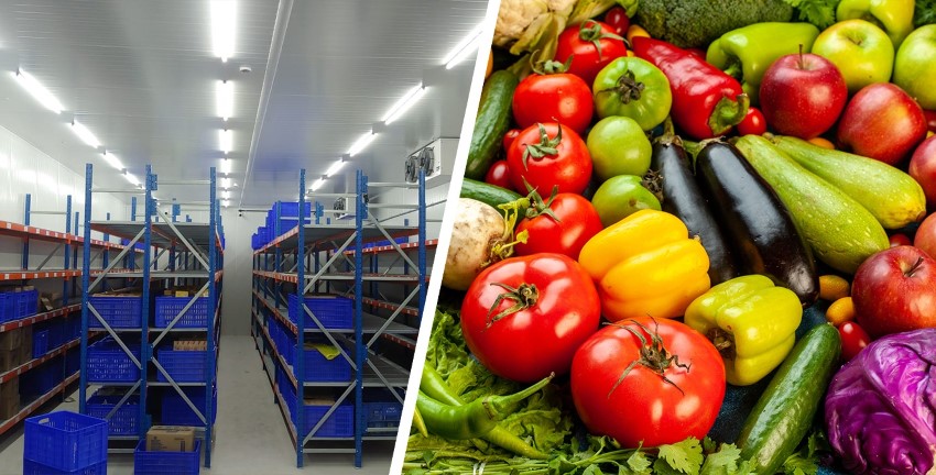 Giảm Thiểu Hư Hỏng Và Kéo Dài Thời Gian Bảo Quản Sản Phẩm