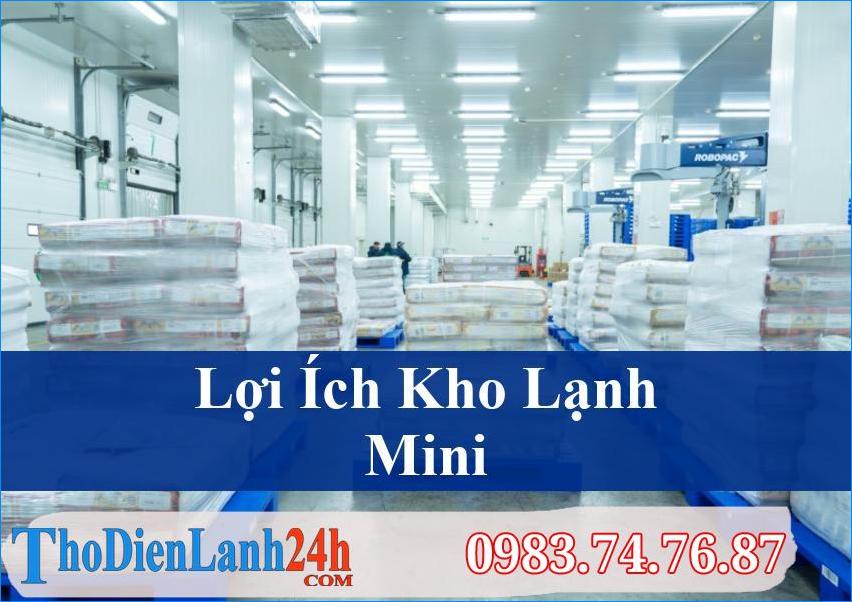 Kho Lạnh Mini Và Tủ Đông: Giải Pháp Nào Tối Ưu Cho Nhu Cầu Bảo Quản Thực Phẩm?