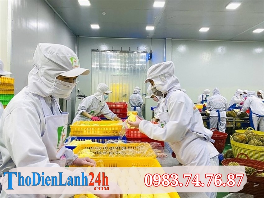 Lợi Ích Kinh Doanh Và An Toàn Khi Sử Dụng Báo Động Nhiệt Độ