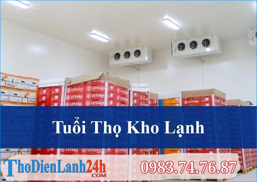 Giải Mã Tuổi Thọ Trung Bình Của Kho Lạnh Công Nghiệp Và Cách Tối Ưu Hiệu Suất Lâu Dài