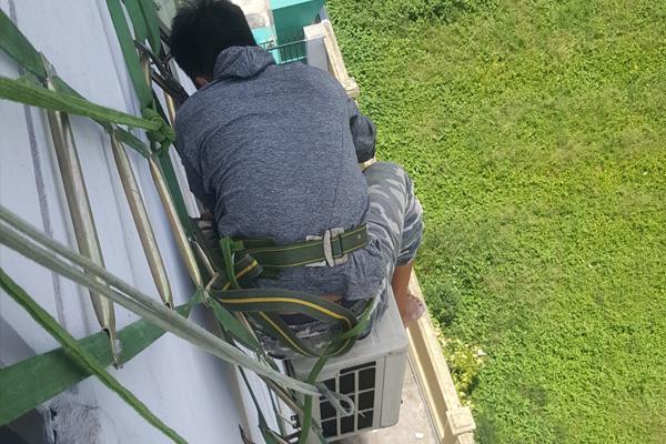 Hình Ảnh Thực Tế Thodienlanh24H Phục Vụ Hình Ảnh Thực Tế Thodienlanh24H Phục Vụ
